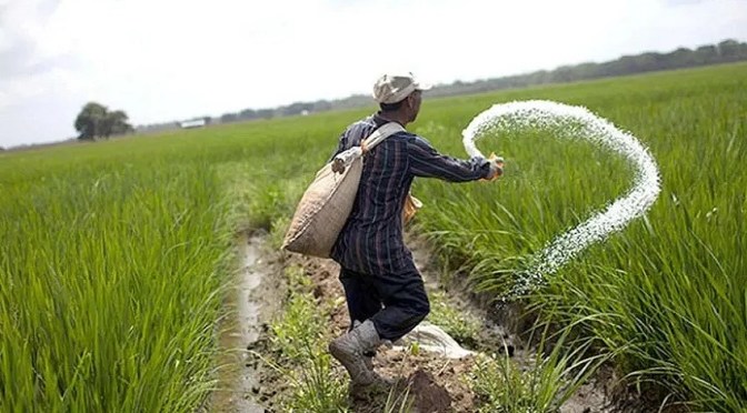 कोटवा इफको बाजार मे यूरिया खाद के लिए उमड़ी किसानों भीड़।